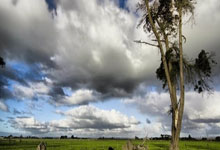 足协公布首批完成债务清欠俱乐部名单 中超三队未上榜.