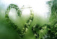 曾效力金州勇士！杰斯父亲杰森-理查德森现场观战为儿子加油10033.