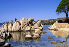 德天空：乌尔比希预计可以顶替诺伊尔出战圣保利.